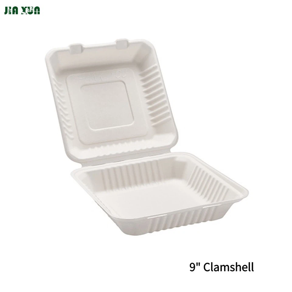 Bagasse Clamshell Box